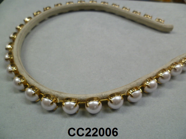 CC22006